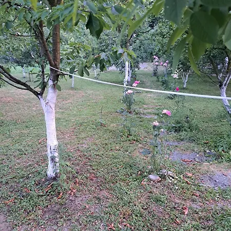 Apartamento Garden- Pool