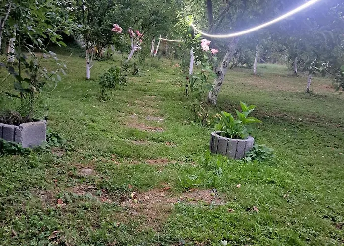 Garden- Pool Apartman *